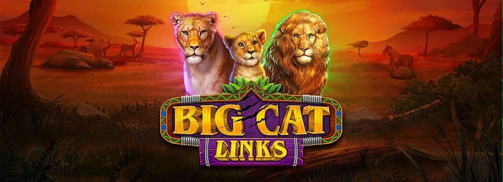 Big Cat Links Slots